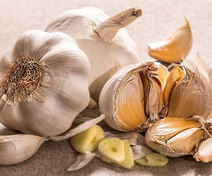 Knoblauch richtig lagern: So mag es die Knolle am liebsten