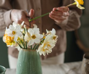 Mit diesem Hack habt ihr länger Freude an Narzissen in der Vase