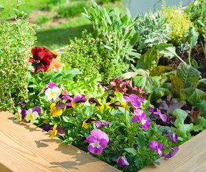 Garten-Helfer von Tchibo: 20 Pflanzenclips für perfekten Halt im Beet