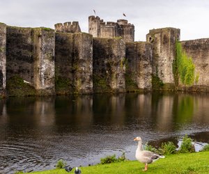Diese Speisen liebten die Menschen im Mittelalter