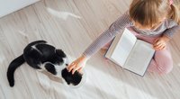 Lesenlernen ohne Erwartungsdruck: Kinder lesen Katzen vor