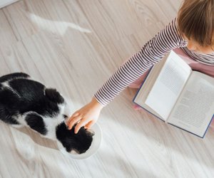 Lesenlernen ohne Erwartungsdruck: Kinder lesen Katzen vor