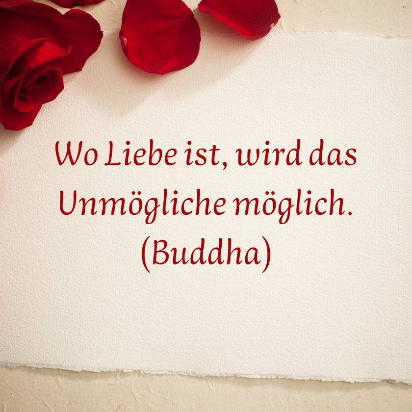 Liebeszitate - Buddha