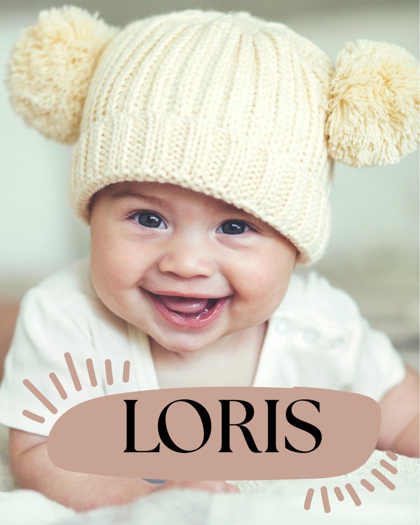 Loris