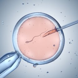 Blastozystentransfer: Die Vorteile der IVF-Methode