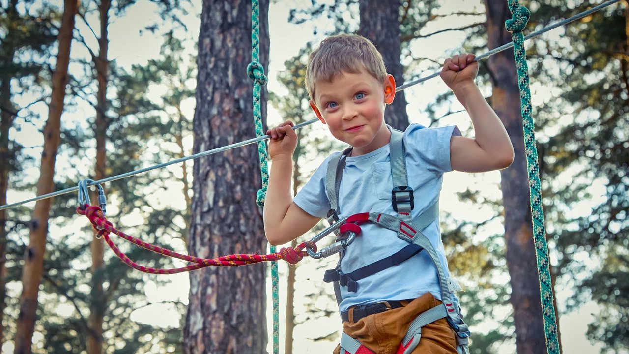 Junge klettert in einem Kletterpark in den Bäumen