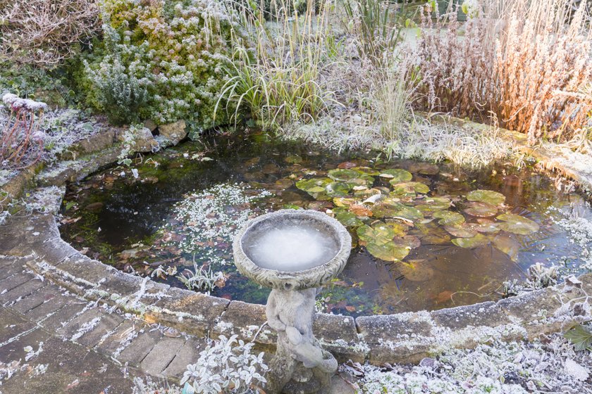 Frozen bird bath and pond in Winter