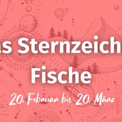 Warum Fische die besten Freunde sind: 15 Gründe, die dafür sprechen