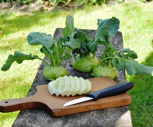 Kohlrabi einfrieren: So gehst du vor, damit er knackig bleibt