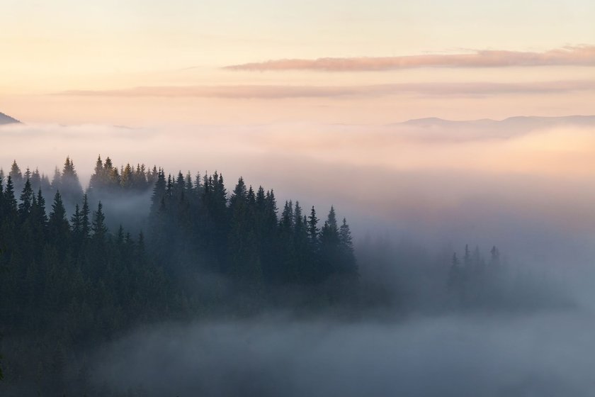 Ein Berg mit Wald wird vom Nebel verborgen und es dämmert