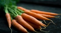 Karotten lagern: Diese Tipps machen sie lange haltbar