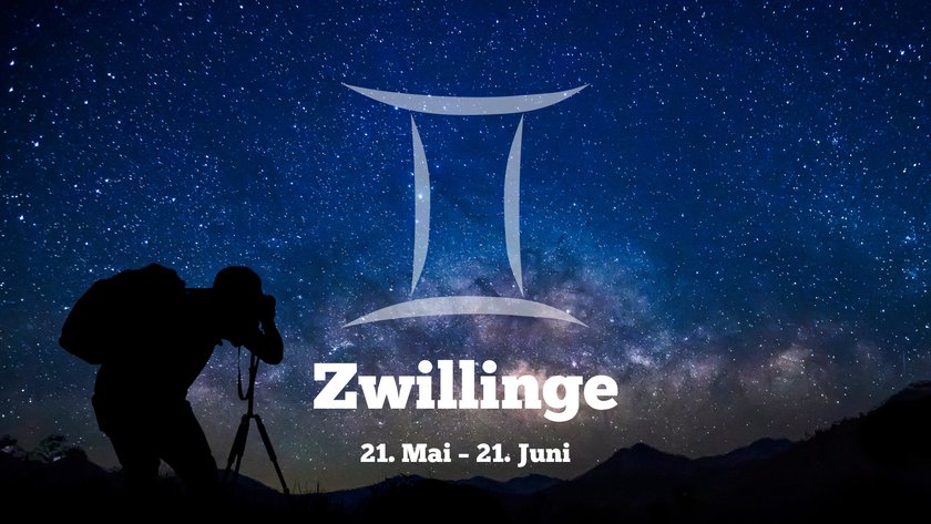 Zwillinge