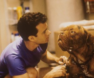 Filmhunde im Quiz: Weißt du, aus welchem Film diese Hunde stammen?