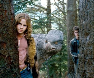 Diese&#x20;vielseitige&#x20;Hemdbluse&#x20;von&#x20;Ernsting&#x27;s&#x20;family&#x20;h&#x00E4;tte&#x20;Hermine&#x20;verzaubert