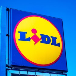 Perfekt für Familien: Wir lieben diese wetterfeste Lidl-Gartenbox zum Schnäppchenpreis