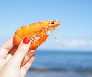 Was ist der Unterschied zwischen Scampi und Garnelen? Kindgerecht erklärt