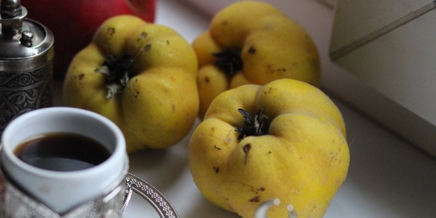 Quitten Essen In Der Schwangerschaft