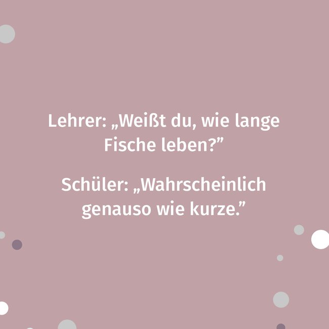 Schulerwitze Die 39 Besten Witze Uber Schule Und Co Familie De