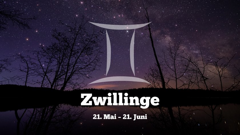 Zwillinge