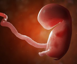 Embryo-Entwicklung bis zum Fötus: Das alles passiert in deinem Baby-Bauch