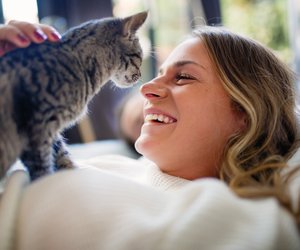 Laut Experte: Das steckt hinter dem Blinzeln deiner Katze
