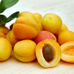Marillen oder Aprikosen – gibt es einen Unterschied bei den Früchten?