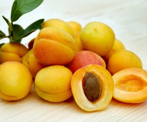 Marillen oder Aprikosen – gibt es einen Unterschied bei den Früchten?