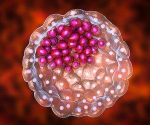 Blastozystentransfer: Welche Vorteile hat diese IVF-Methode?