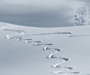 Im Winterwunderland: Aber warum ist Schnee weiß?