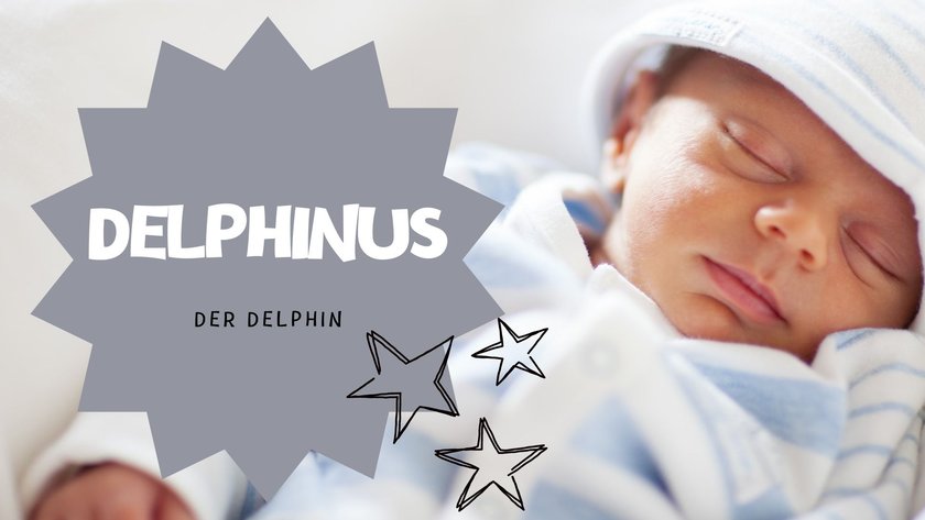 #3 Vornamen nach Sternbildern: Delphinus
