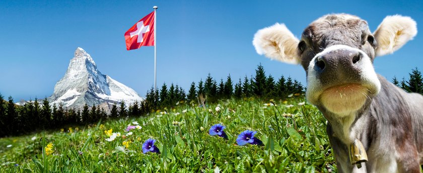 Matterhorn mit Kuh und Flagge