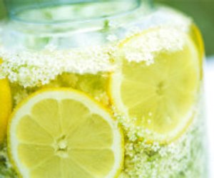 Holunderblüten­sirup selber machen