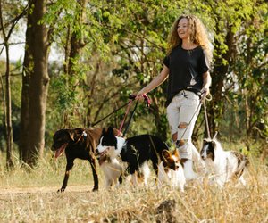 Hunde mit langer Schnauze: Das sind die niedlichsten Rassen