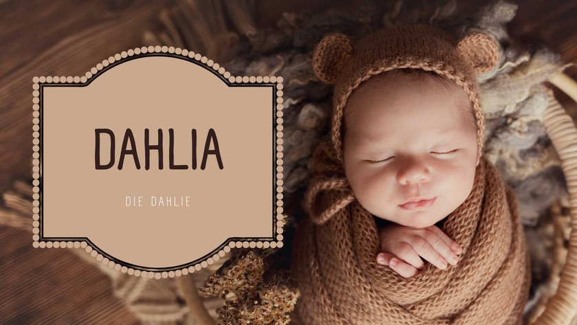 #13 Herbstliche Vornamen: Dahlia