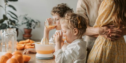 Unterschied Nektar und Saft – die wichtigsten Fakten im Überblick