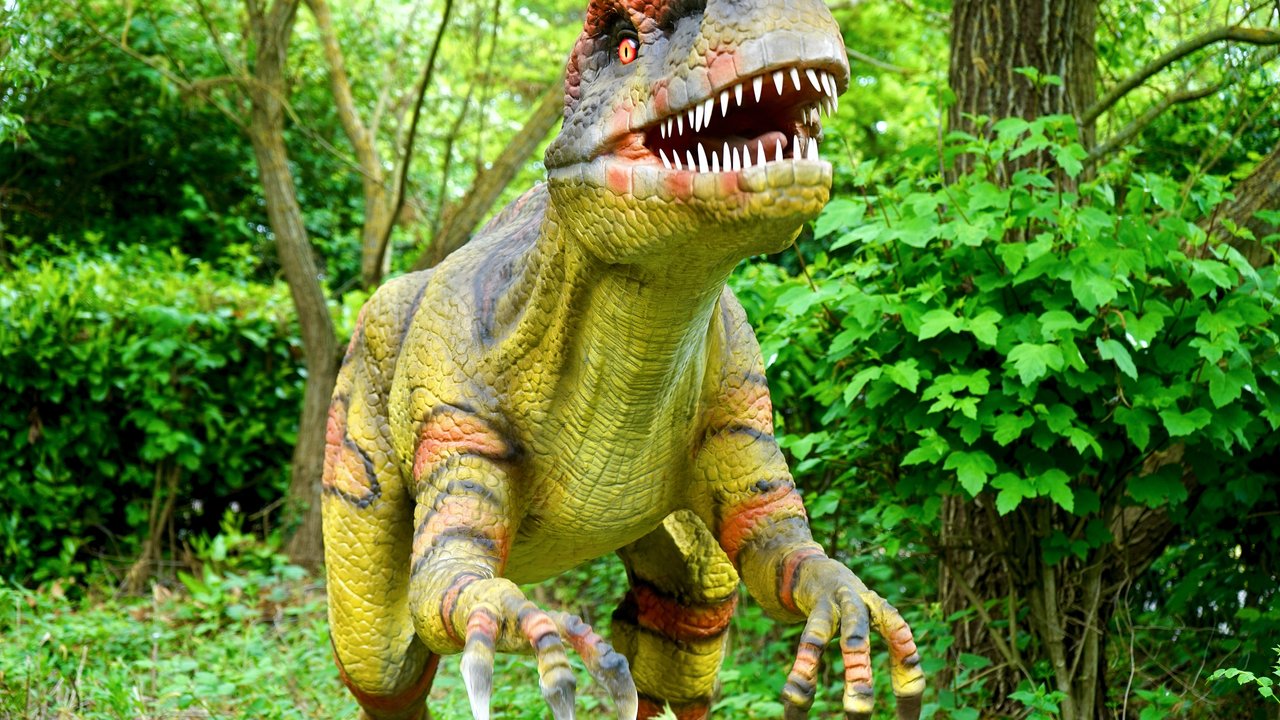 Entdecke die faszinierende Welt der Dinosaurer.