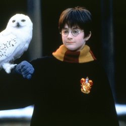 Der sprechende Hut: Harry Potter Fans greifen bei diesem bezaubernden Amazon-Schnäppchen zu