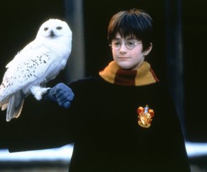 Der sprechende Hut: Harry Potter Fans greifen bei diesem bezaubernden Amazon-Schnäppchen zu