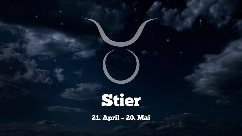 Stier