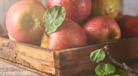 Äpfel richtig lagern: Diese Fehler solltet ihr unbedingt vermeiden