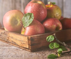 Äpfel richtig lagern: Diese Fehler solltet ihr unbedingt vermeiden