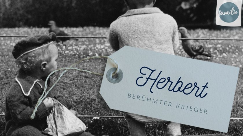 Herbert