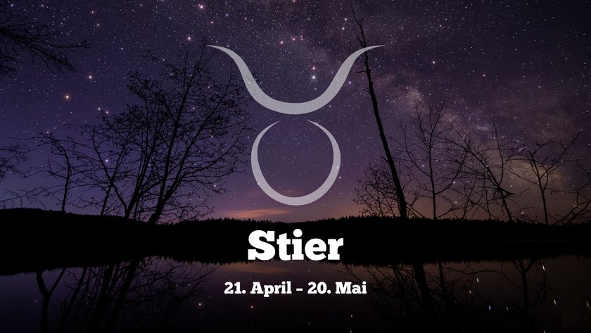 Stier