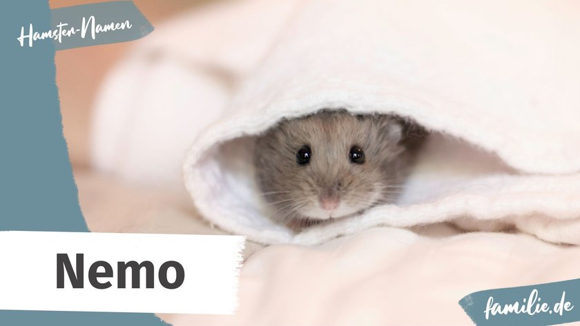 hamster namen männlich