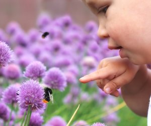 3 Dinge, die ihr im Alltag zum Schutz von Insekten beitragen könnt
