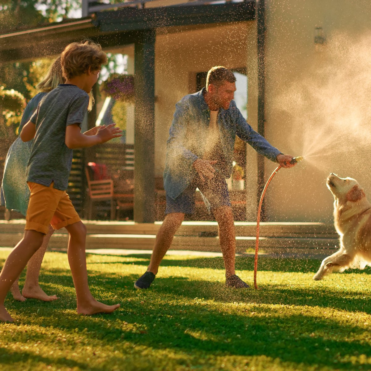 Garten-Gadgets fr den Hund: Diese Spielzeuge und Co. von Amazon  berraschen deine Fellnase!