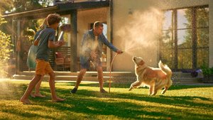Garten-Gadgets für den Hund: Diese Spielzeuge und Co. von Amazon überraschen deine Fellnase!