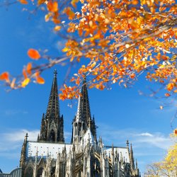 Herbst in Köln: So macht ihr es euch mit euren Kids in der dunklen Jahreszeit schön