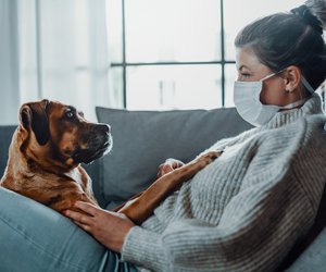 Mit Hund in Corona-Quarantäne: 5 Tipps für den Notfall