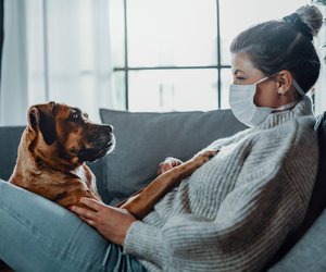Mit Hund in Corona-Quarantäne: 5 Tipps für den Notfall